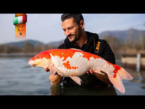 A Winter Carp Fishing Session with Riccardo Fanucchi