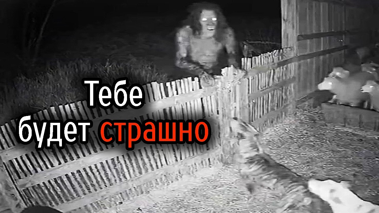 Самые Ужасные Видео со Всего Мира #79