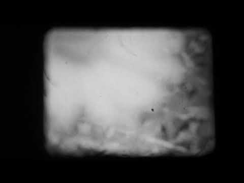 Impresion of Spring / 8mm film