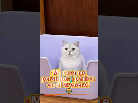 ¡Broma del imán de caca falso! 😂🐱