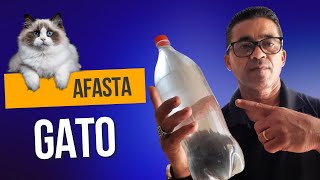 Como afastar os gatos do seu quintal