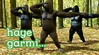 Gorilla funny dance on Haye garmi song  इस व