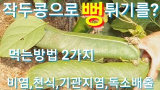 비염,기관지,천식에 좋은 작두콩 먹는방법 건강보조식품 엄마 귀농귀촌 전원일기 텃밭 전원일기