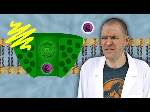 Photosynthesis is WAY Crazier than you Think!