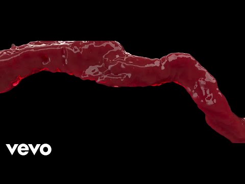 Video Placeholder