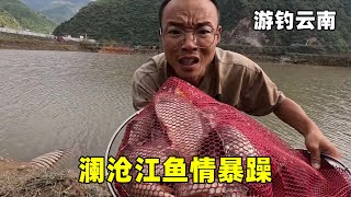 游钓云南澜沧江鱼情暴躁，晚上下网扛不住回去睡觉，早上意外抓到超多大货【真男人老黄】