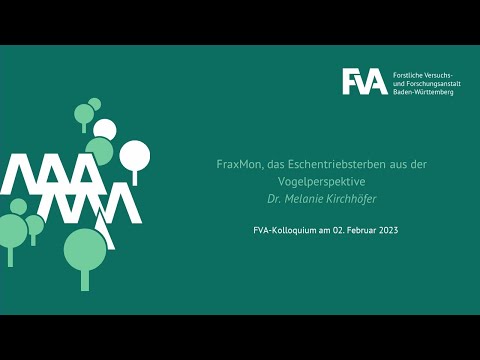 FraxMon, das Eschentriebsterben aus der Vogelperspektive