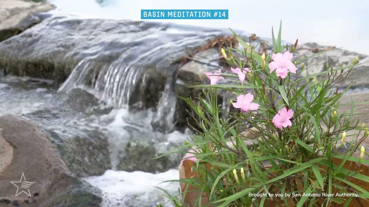 Gentle Flowing Water on the South San Antonio River Walk - Basin Meditation at Mission San Jose
