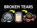 Rock Bottom Soy Milk Kidney Stone 90 Tear Rate Totally Balanced