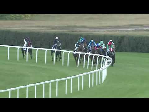 2021.10.10. 02. futam - NYERETLEN KÉTÉVESEK VERSENYE (IV.kat.)