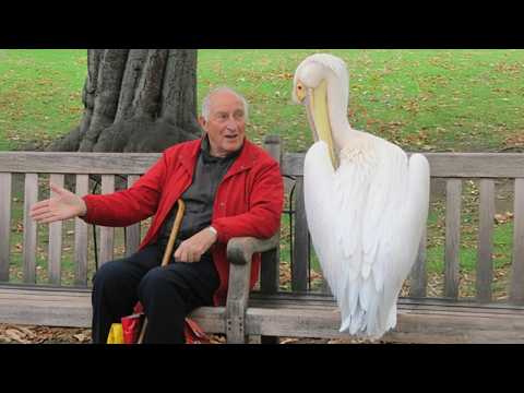 The Funniest ANIMALS of 2026   So Far 😂 NEW Funny Animal Videos