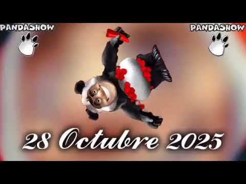 28 Octubre 2025 El Panda Show 