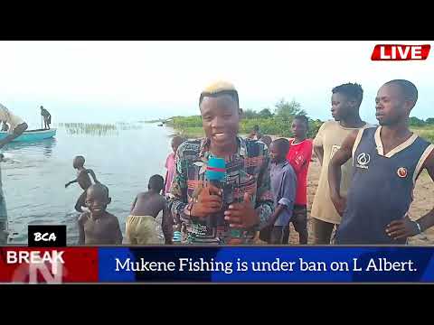 BCA Breaking News Live today"Mukene Fishing is under ban on L Albert"