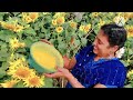 మా అబ్బాయి పోస్ట్ వెడ్డింగ్ ఫోటోషూట్