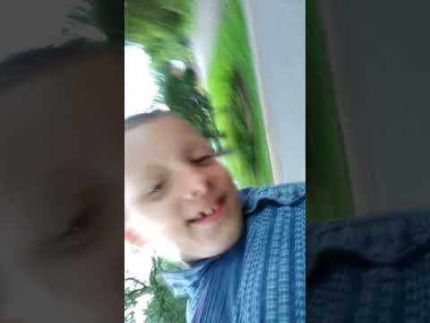 Walking my friends dog