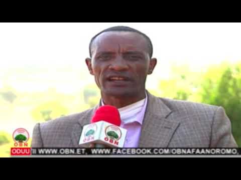 Komii daandii Aanaa Seeruu OBN Gurr 21, 2011