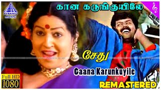 Gaana Karunkuyile Video Song  Sethu Tamil Movie So