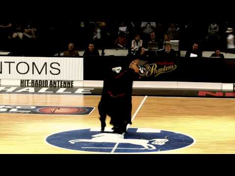 New Yorker Phantoms Braunschweig vs. LTi Gießen 46ers - Highlights Phantoms