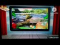 Baby TV The Amazing World Ads