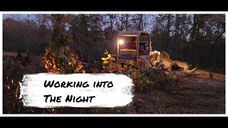 Some tree removal before it gets to dark