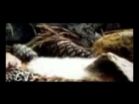 new edit gini gena mihithale