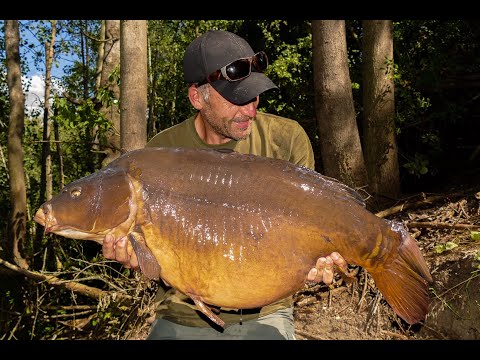 CARP FISHING road trip Summer 2020