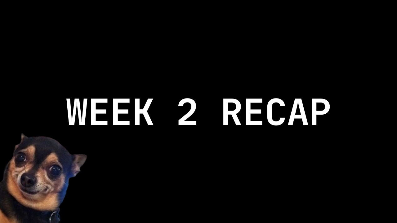 making $121k in 14 months | WEEK 2 RECAP