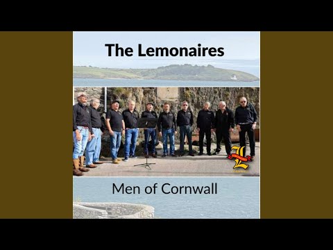 Harrys Song (A Song for Cornwall)