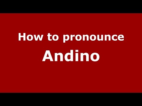 How to pronounce Andino (Spanish/Argentina) - PronounceNames.com
