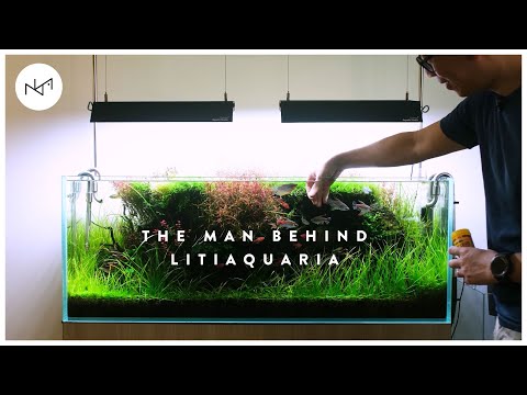 He Introduced the Rotala 'Blood Red' to Singapore! | Tank Talks with LitiAquaria's Jacky