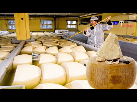 How Italian Parmesan Wheel of Cheese Is Made - Cheese Making Process - $1000 Parmesan Wheels