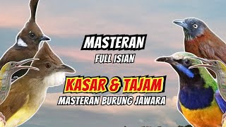Download lagu Masteran Full Isian Tembakan Kasar dan Tajam | Masteran Burung Juara mp3