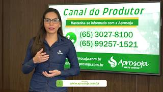 Miniatura do vídeo