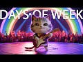 Days of the Week Song | Animals singing - Cute cats , dog , bear and more animals | Children Songs