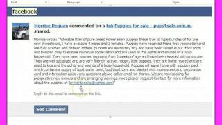 facebook-puppies-for-sale-scams-01