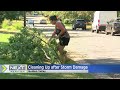 Overnight storms leave downed trees, damage across Twin Cities