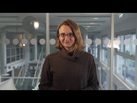 2026, l’année d’abandon