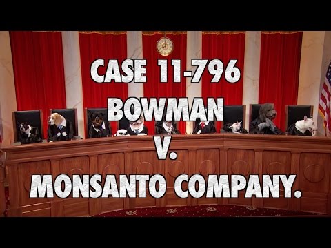 Bowman v Monsanto #RealAnimalsFakePaws (full version)