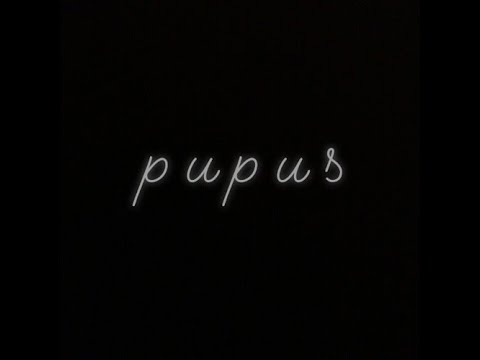 DEWA19 ft  DAVID BAYU NAIF - PUPUS DEWA19 COLLABORATION 2021 | UNOFFICIAL LYRICS VIDEO