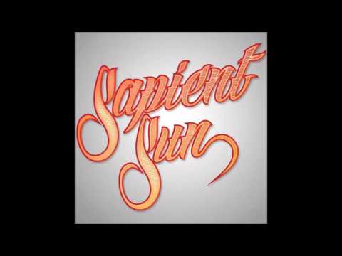 Sapient Sun - Vow of Silence