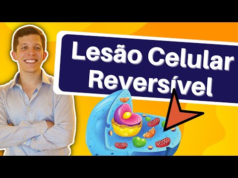 LESÃO CELULAR REVERSÍVEL | Robbins & Cotran Patologia Básica