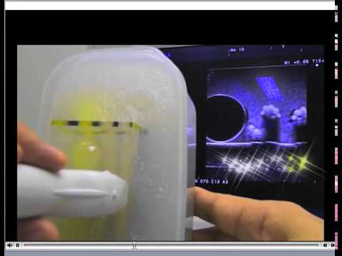 UltraSound guided nerve block training kit       ( saito phantom)