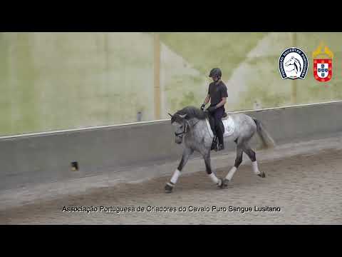 220428 6 Proj Ensino APSL&FEP - David Amorim com Niquel