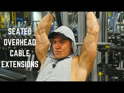 How To: Steated Tricep Overhead Cable Extensions