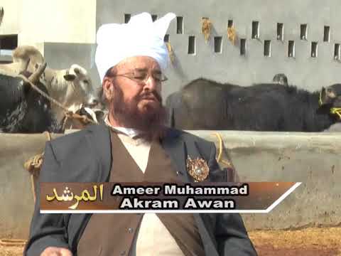 Watch Al-Murshid TV Program (Episode - 119) YouTube Video