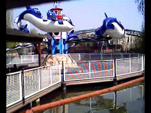 Flying Orca