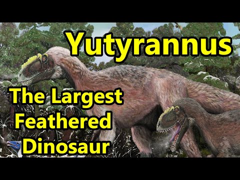 Yutyrannus: The Largest Feathered Dinosaur Ever Discovered