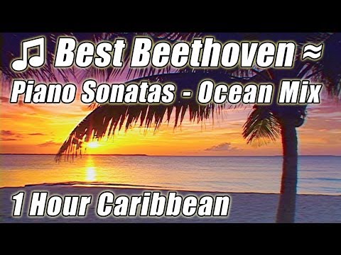 BEETHOVEN Piano Sonatas Best CLASSICAL MUSIC for Studying Reading Playlist Instrumentals HOUR Video