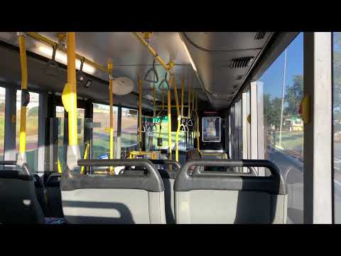 Transperth TP1180  Mercedes Benz O405NH 'Midi' Voith