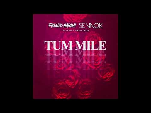 Frenzo Harami x Sevaqk - Tum Mile (feat. Maria Meer) [Audio]